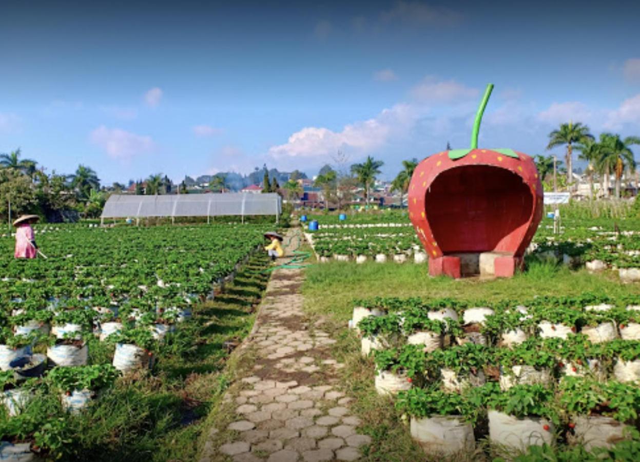 Villa Musti Green Apple Cipanas Sindanglaya Extérieur photo